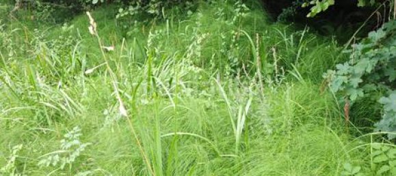 Дом с 1 спальней в Астурия, Испания № 142967 12