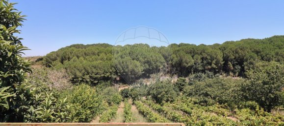 9 غرف نوم منزل في Alenquer, Portugal رقم 71794 3