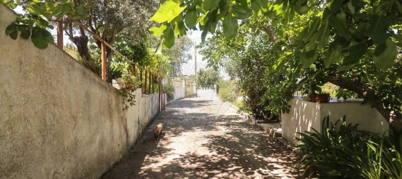 9 غرف نوم منزل في Alenquer, Portugal رقم 71794 29