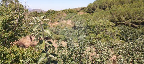 9 غرف نوم منزل في Alenquer, Portugal رقم 71794 31