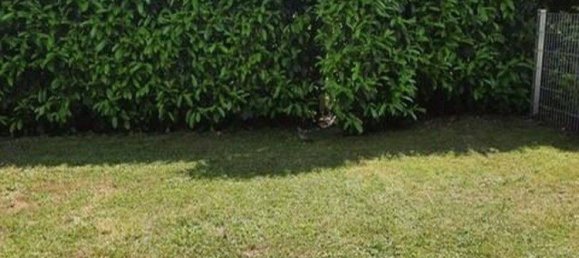 2 bedrooms Apartment in Breisgau-Hochschwarzwald, Germany No. 236909 7