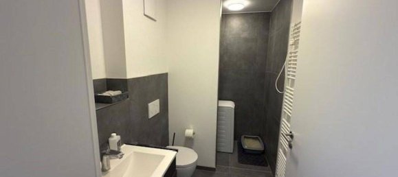 2 bedrooms Apartment in Breisgau-Hochschwarzwald, Germany No. 236909 13