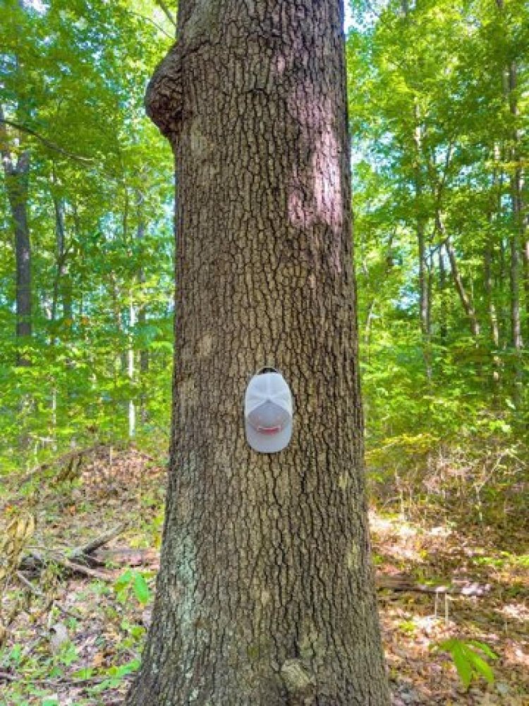 Grundstück in Oak Hill, USA, Nr. 480098