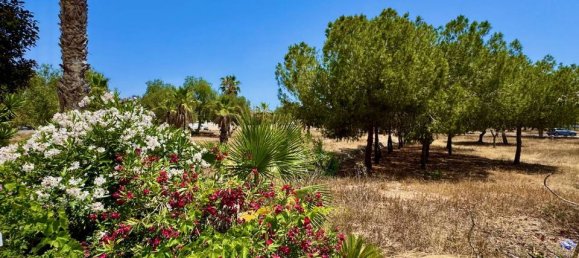 Villa T2 em Ciudad Quesada, Spain N.º 178493 16