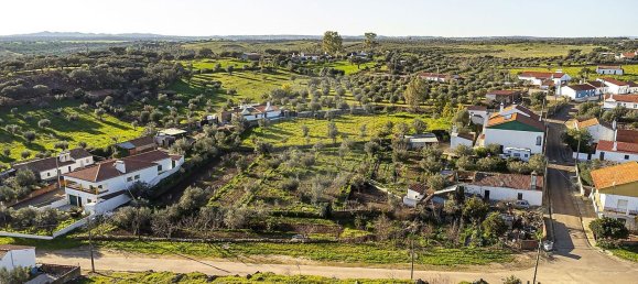 3 chambres Maison à Alandroal, Portugal No. 183166 13