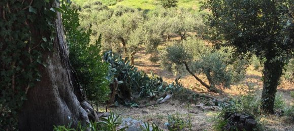 10 bedrooms Villa in Casciana Terme Lari, Italy No. 304135 14