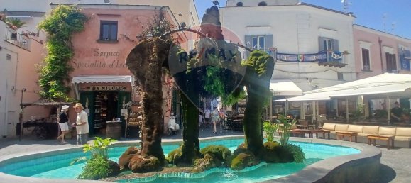 2 غرف نوم شقة في Forio, Italy رقم 218819 31