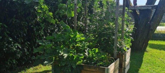 3غرفة منزل في Oftering, Austria رقم 215876 14