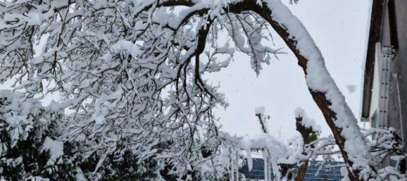 3غرفة منزل في Oftering, Austria رقم 215876 17