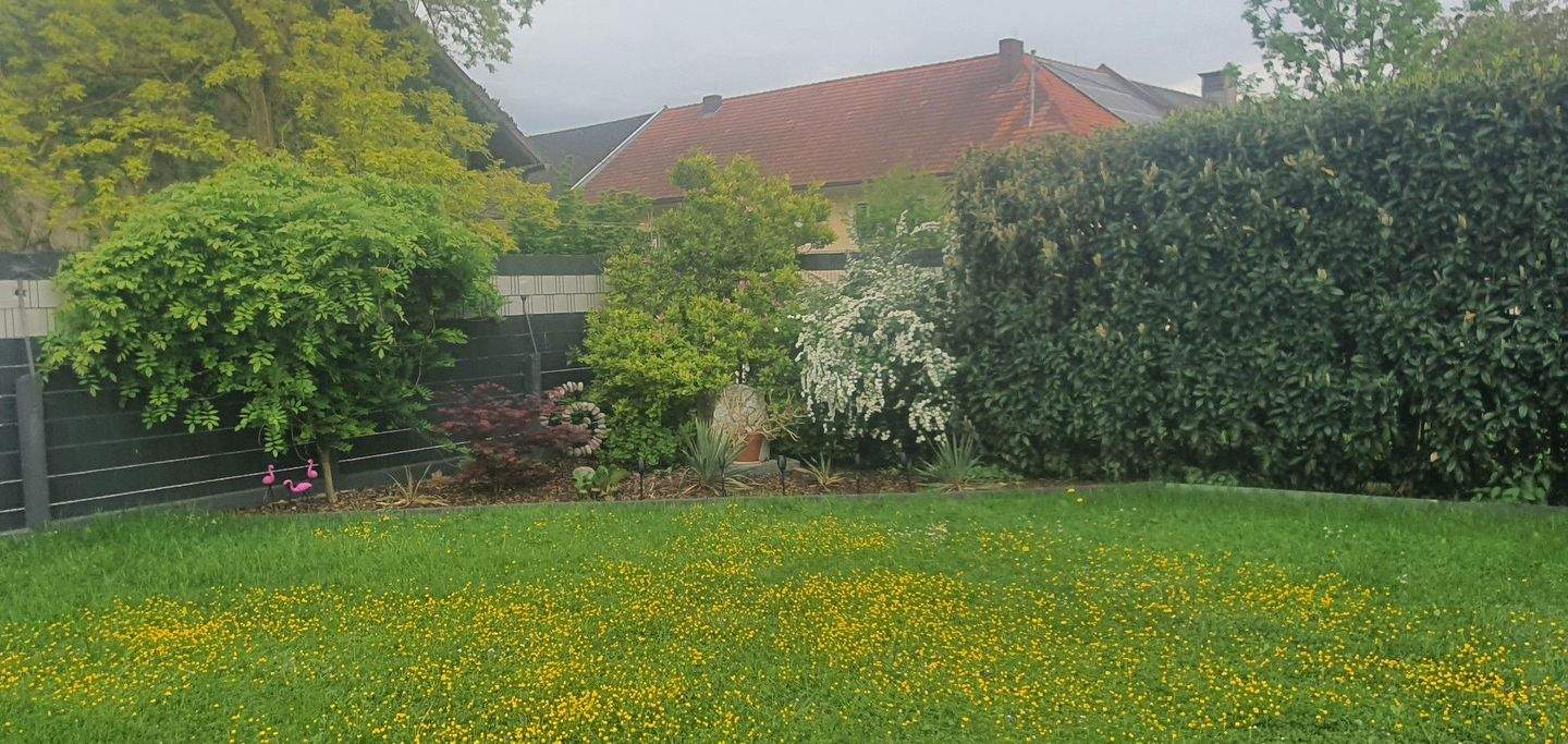 3غرفة منزل في Oftering, Austria رقم 215876