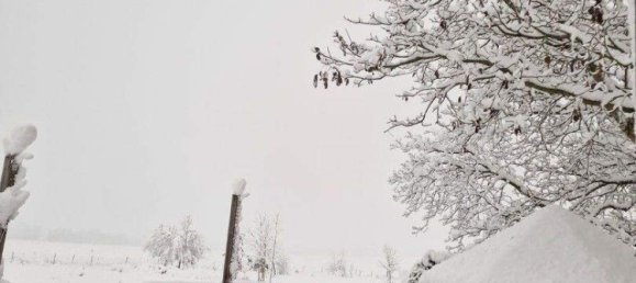 3غرفة منزل في Oftering, Austria رقم 215876 18