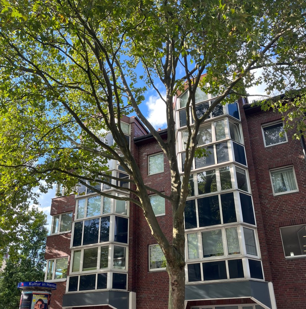 Квартира с 2 комнатами в Аймсбюттель, Германия № 40239