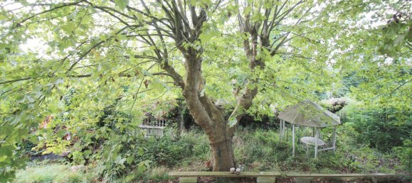 16 rooms Castles in Champigny-sur-Marne, France No. 333905 25