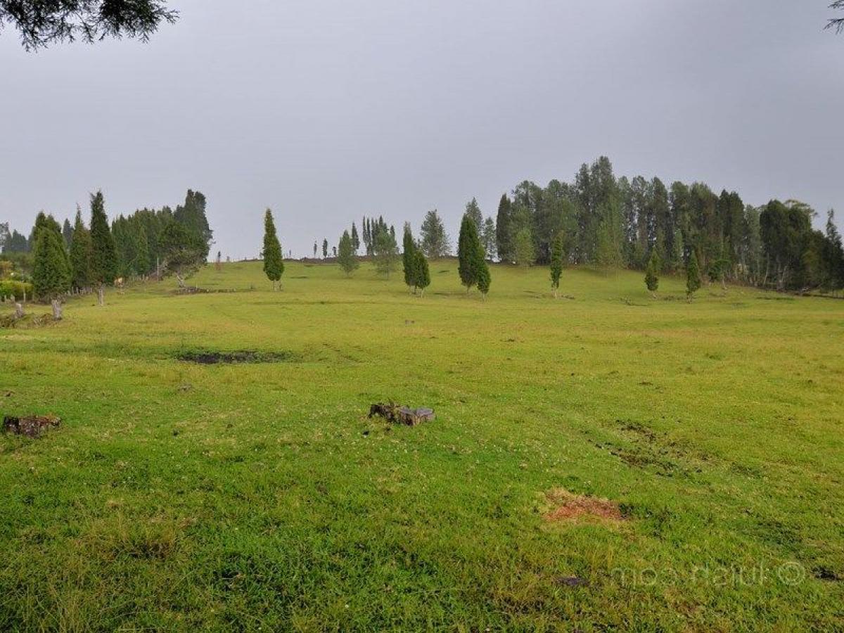 Terreno em Antioquia, Colombia N.º 413