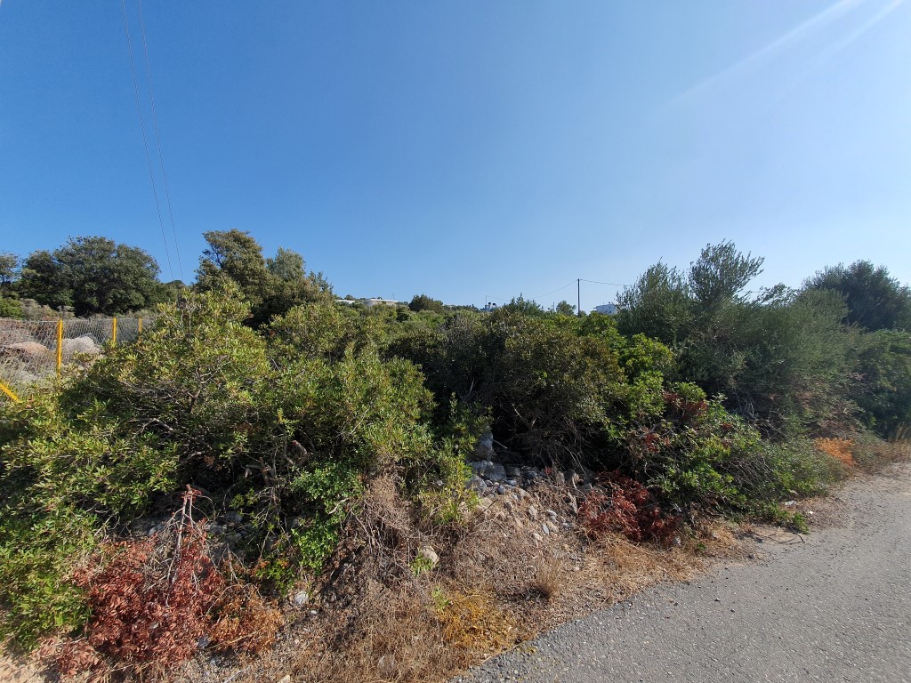 5423m² terrain à vendre à Agios Nikolaos, Lasithi, Crete, Greece № 95106