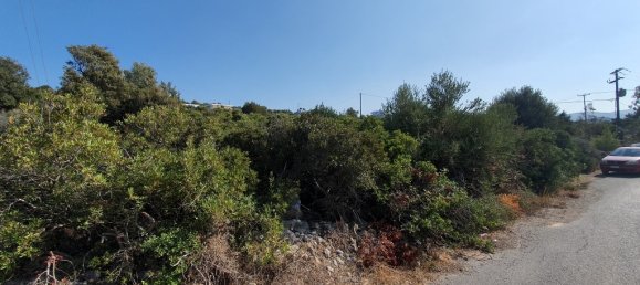 5423m² terrain à vendre à Agios Nikolaos, Lasithi, Crete, Greece № 95106 2