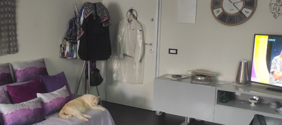 2-Zimmer Wohnung in Comiso, Italy, Nr. 284745 2