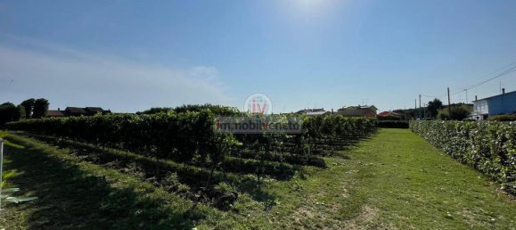 Дом с 10 комнатами в Колонья Венета, Италия № 174560 25