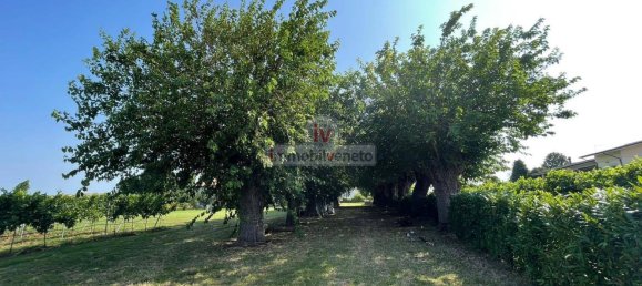 Дом с 10 комнатами в Колонья Венета, Италия № 174560 19