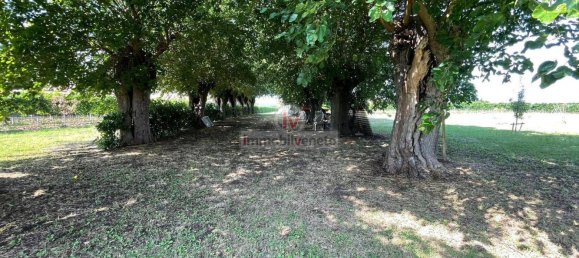 Дом с 10 комнатами в Колонья Венета, Италия № 174560 18