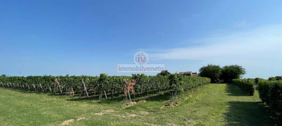 Дом с 10 комнатами в Колонья Венета, Италия № 174560 23