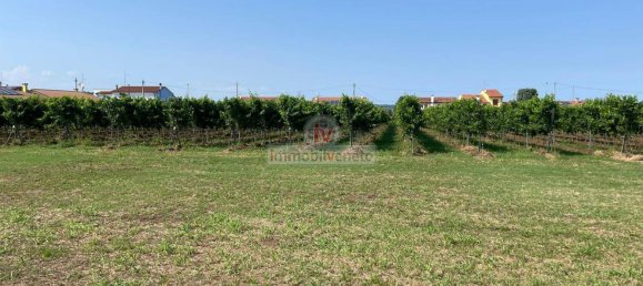 Дом с 10 комнатами в Колонья Венета, Италия № 174560 24