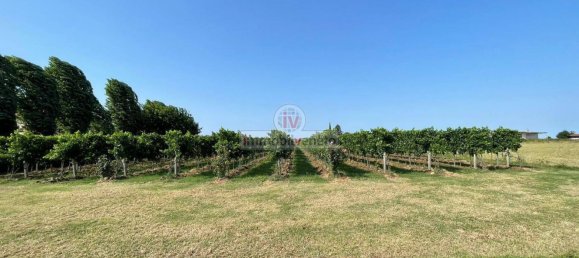 Дом с 10 комнатами в Колонья Венета, Италия № 174560 20