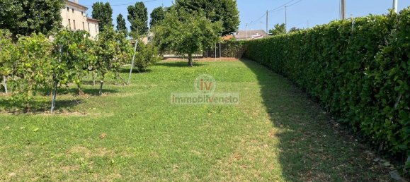 Дом с 10 комнатами в Колонья Венета, Италия № 174560 10