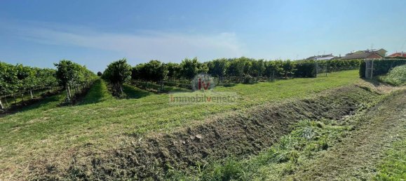 Дом с 10 комнатами в Колонья Венета, Италия № 174560 21