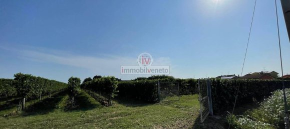 Дом с 10 комнатами в Колонья Венета, Италия № 174560 22