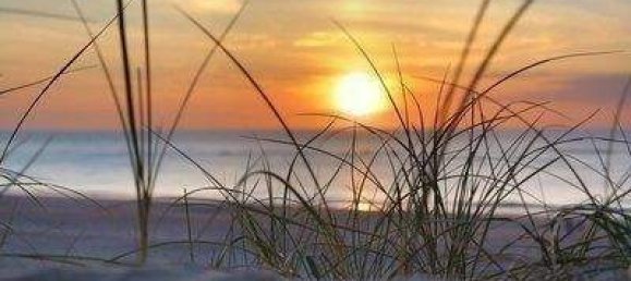 Terreno em Vorpommern-Rugen, Germany N.º 268222 12