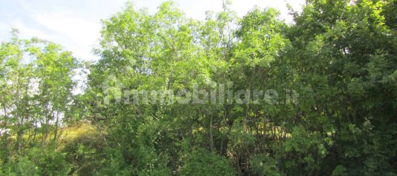 3000m² Land in Negrar, Italy No. 287238 8