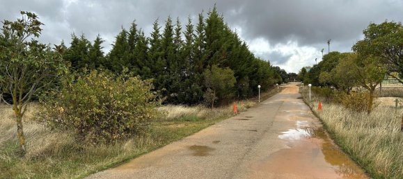 1419m² Warehouse in Madrid, Spain No. 163915 5