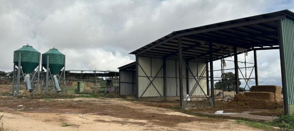 1419m² Warehouse in Madrid, Spain No. 163915 8