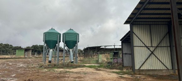 1419m² Warehouse in Madrid, Spain No. 163915 10