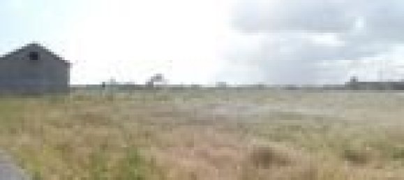  Land in Montijo, Portugal No. 43565 4