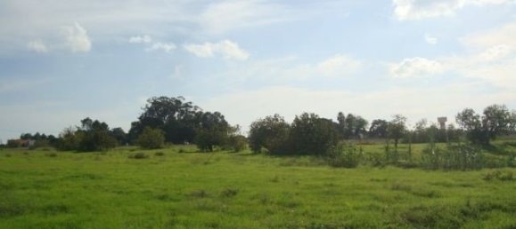  Land in Montijo, Portugal No. 43565 5