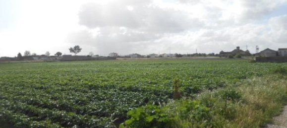  Land in Montijo, Portugal No. 43565 3