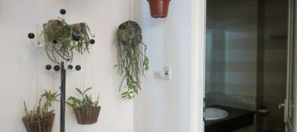 9 bedrooms Villa in Cau Giay, Vietnam No. 4978 13