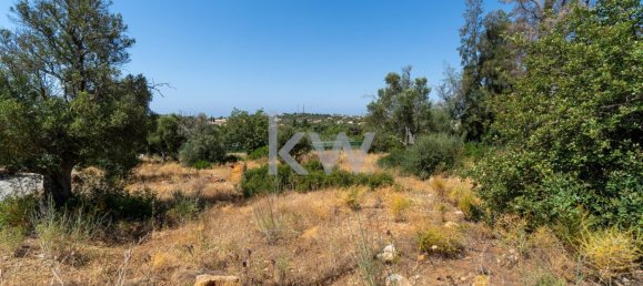 2060m² Land in Almancil, Portugal No. 37658 15