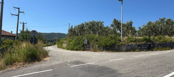 16820m² Land in Satriano, Italy No. 278738 16