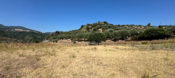 16820m² Land in Satriano, Italy No. 278738 10