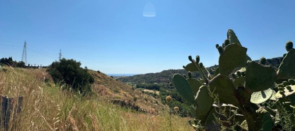16820m² Land in Satriano, Italy No. 278738 3