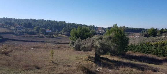 5 bedrooms Commercial property in Chalkidiki, Greece No. 5965 8