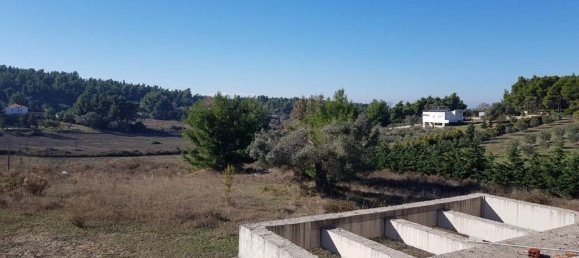 5 bedrooms Commercial property in Chalkidiki, Greece No. 5965 7