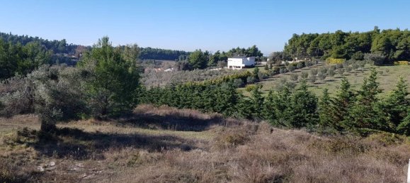 5 bedrooms Commercial property in Chalkidiki, Greece No. 5965 4