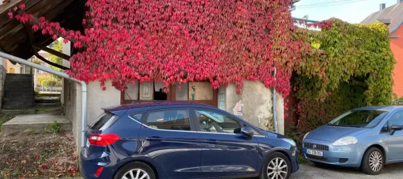 7-Zimmer Haus in Seppois-le-Bas, France, Nr. 91614 17