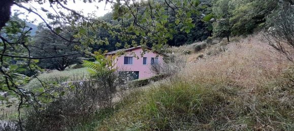 8 Schlafzimmer Villa in Londa, Italy, Nr. 75174 8