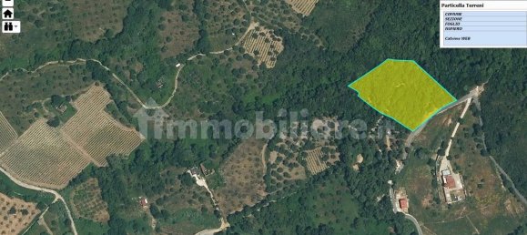 Grundstück in Ogliastro Cilento, Italy 12000m², Nr. 159945 5