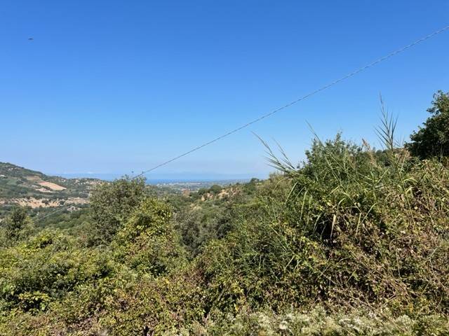 Grundstück in Ogliastro Cilento, Italy 12000m², Nr. 159945